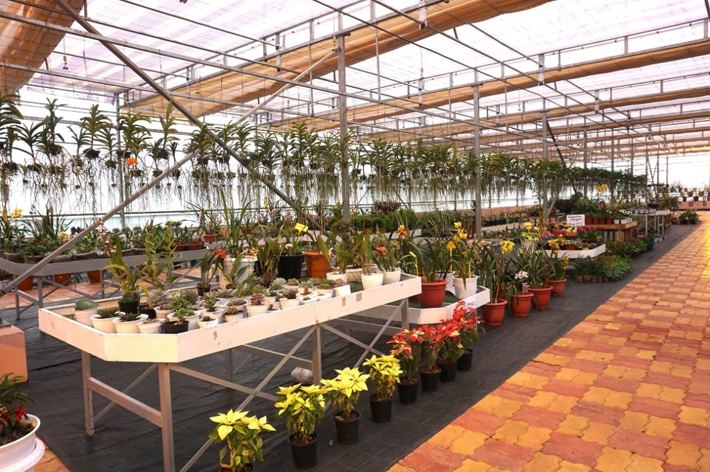 Shillong, Jan 12: A Floriculture Expo cum Sale is underway at the Institute of Bioresources and Sustainable Development (IBSD) Meghalaya Node, 5th Mile, Upper Shillong. This is being held under the aegis of the â€œBioeconomy from Bioresources program with special reference to North-East Indiaâ€ and as part of the â€˜Azadi Ka Amrit Mahotsavâ€™ celebration to commemorate 75 years of Indiaâ€™s independence, under the leadership of Prof. Pulok K. Mukherjee, Director, IBSD, Imphal. This Expo aims to serve as a platform for the floriculture farmers of the State to showcase and provide a marketplace for their flowers and will extend for a few more weeks. The IBSD Orchidarium is open on all days from 10:00 AM to 5:00 PM with a weekly holiday on Wednesday. The Stateâ€™s Covid19 protocols will apply and masks will have to be worn, with entry allowed only for fully vaccinated persons and children will have to be accompanied by fully vaccinated adults. Institute of Bioresources and Sustainable Development (IBSD) is an autonomous institute under the Department of Biotechnology, Govt of India.